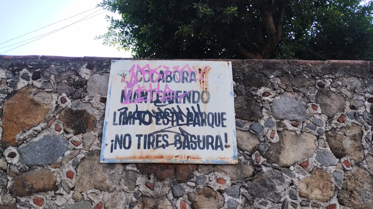 Diario de Morelos tweet media