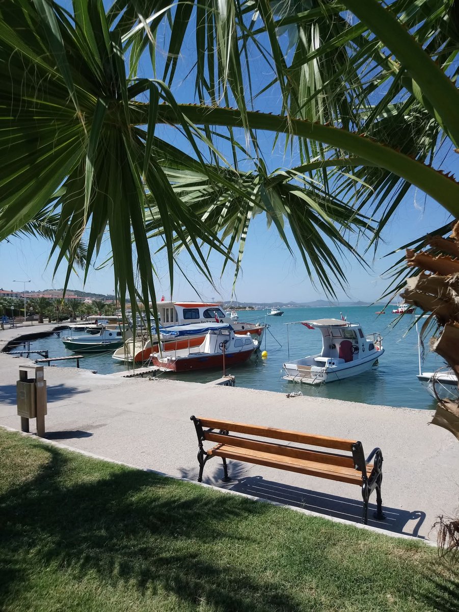 ahmet poyraz (@ayvalik_1080) on Twitter photo 