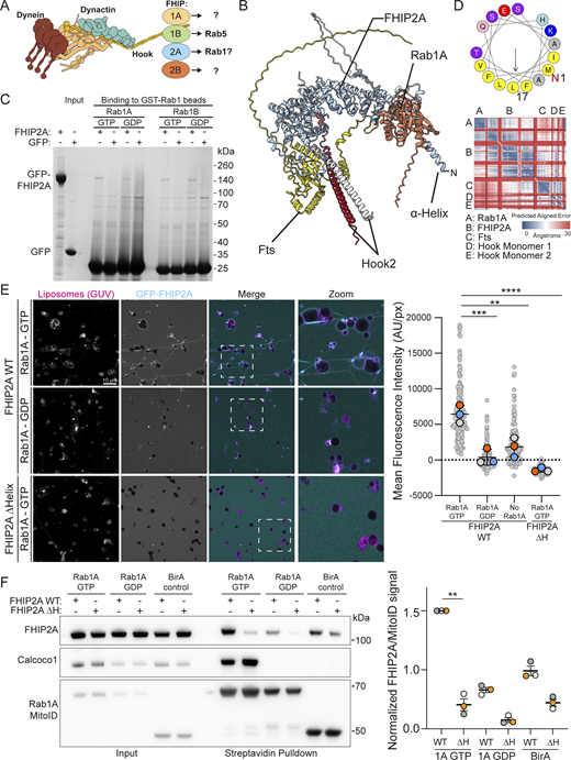 Journal of Cell Biology tweet media