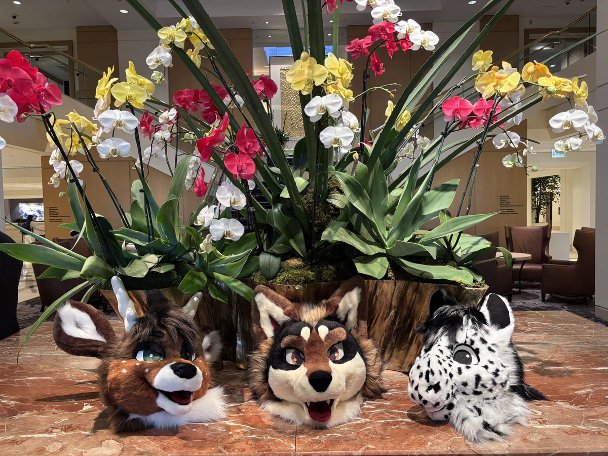 Yappy Ki Yay! tweet media