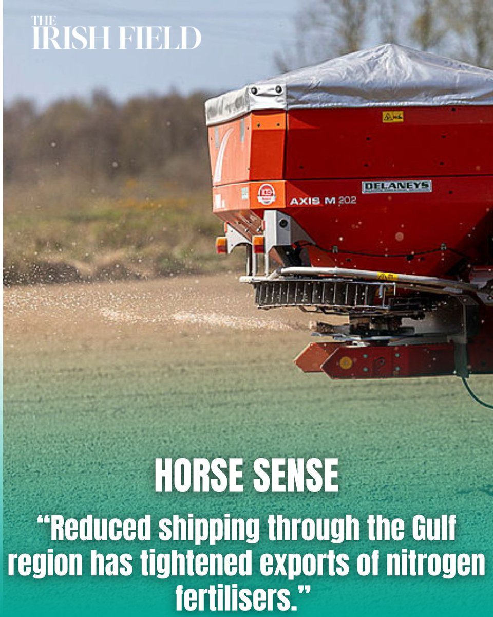 TheIrishFieldHW tweet media