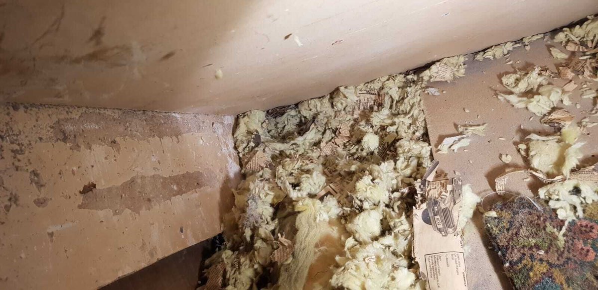 Ben Curry tweet media