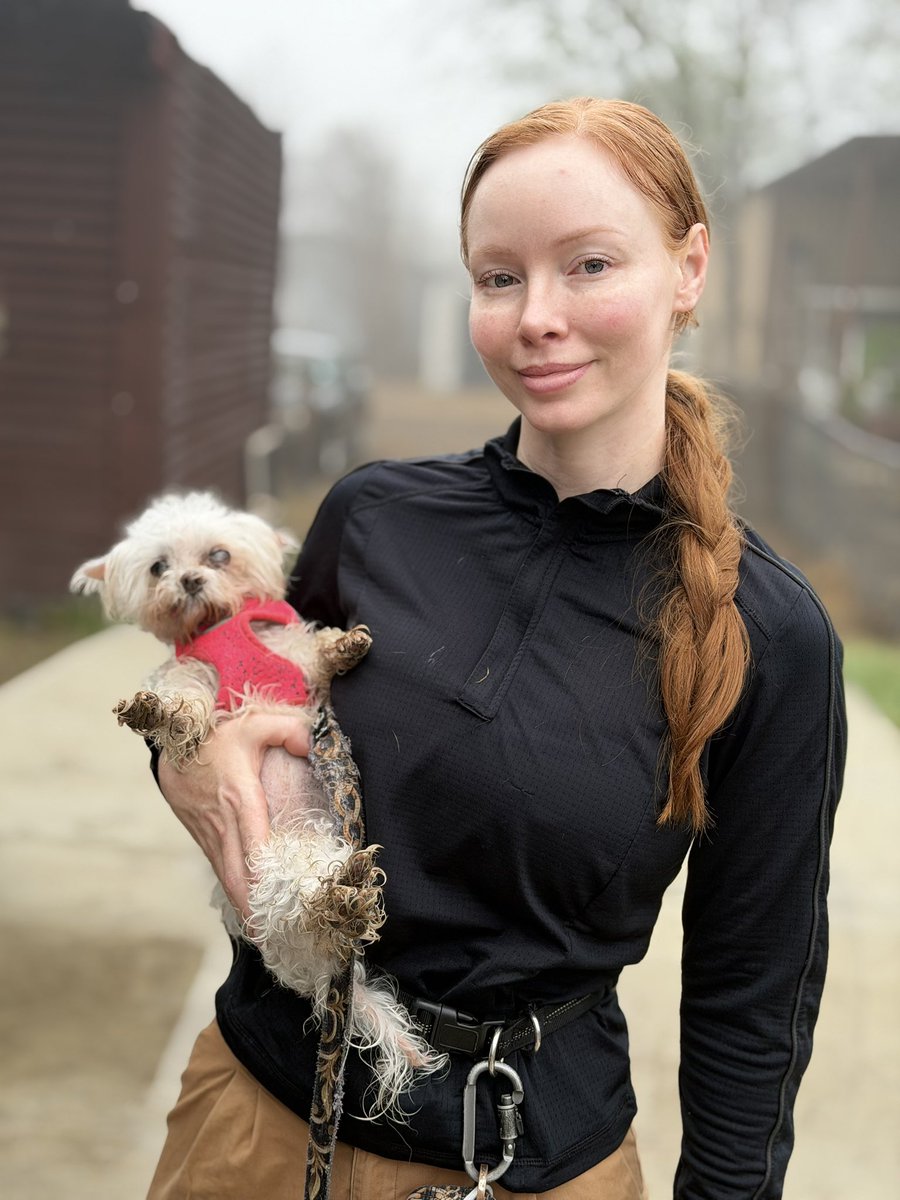 Austin White tweet media