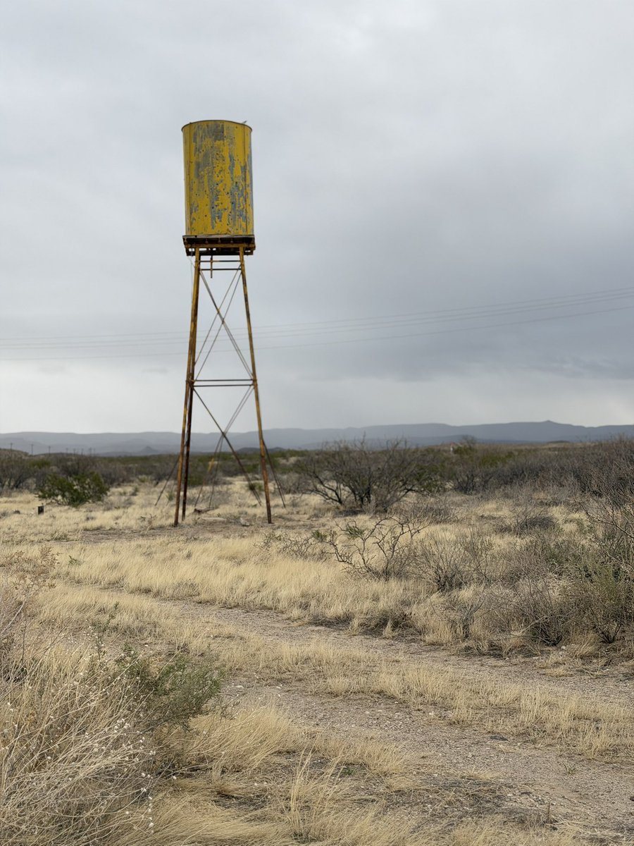 Austin White tweet media