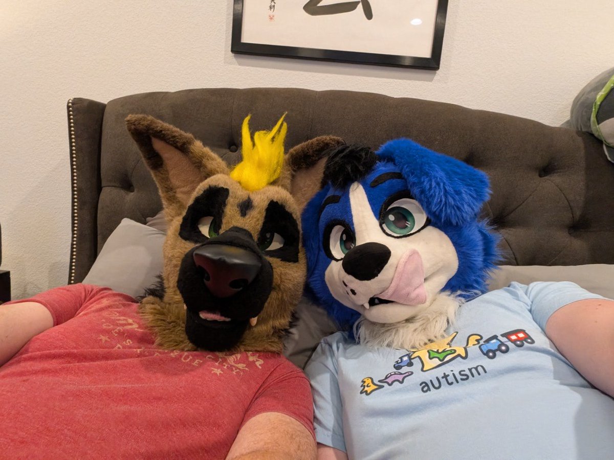 Saiiii 🔜 FE tweet media