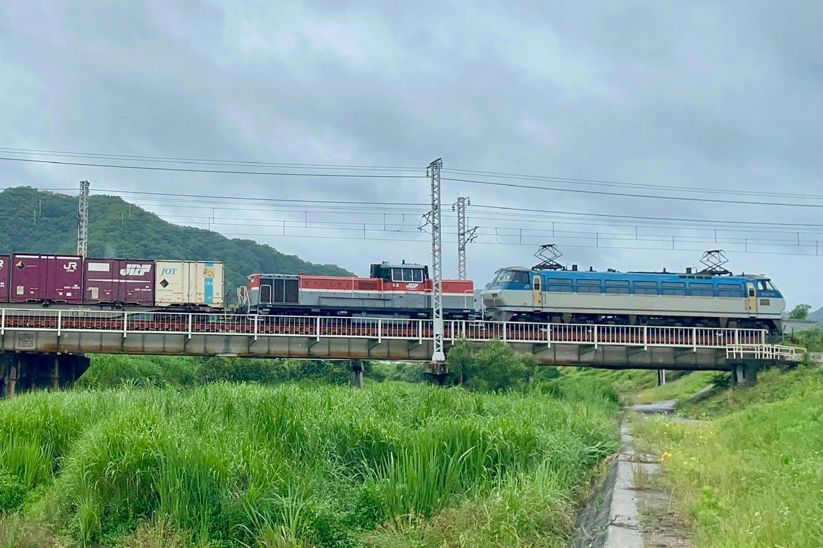 麼邐田 tweet media