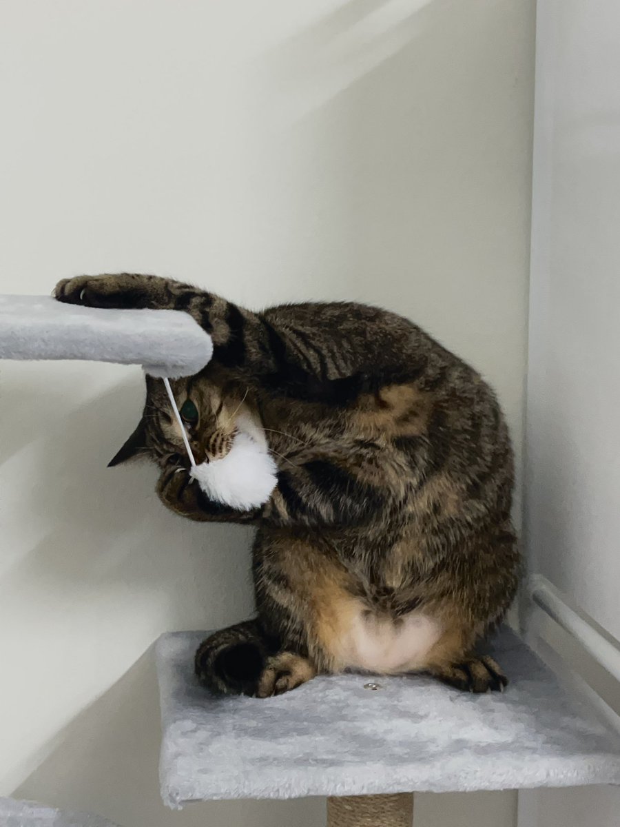 . (@ddddxot) on Twitter photo 