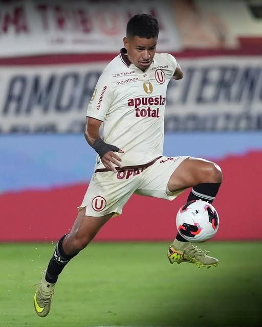 Bicentenario tweet media