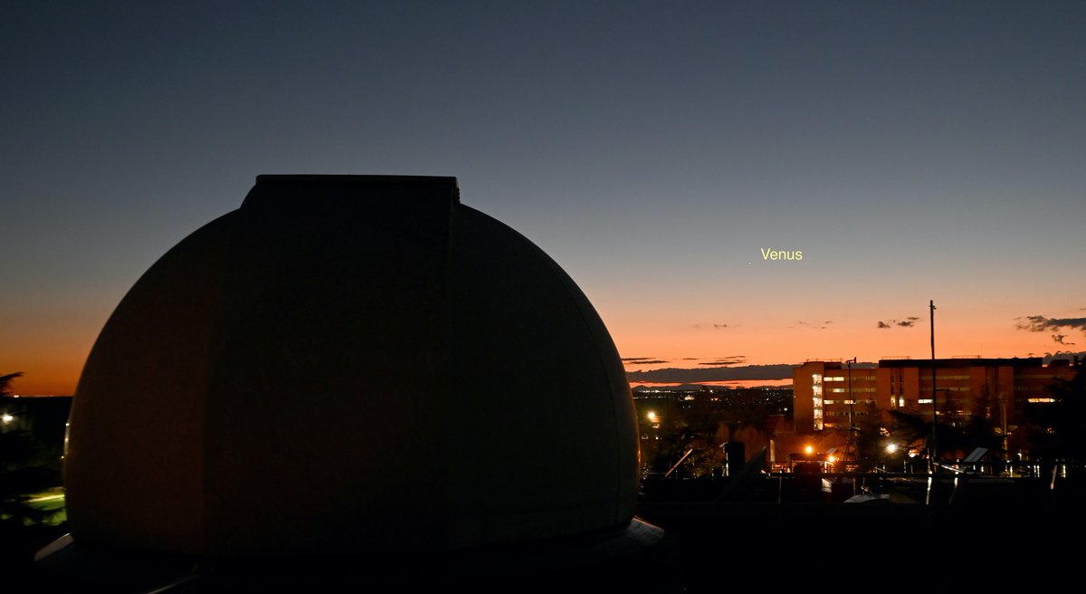 Observatorio UCM tweet media