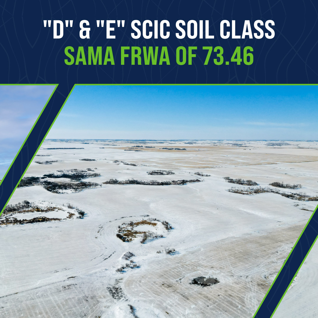 Sheppard Realty tweet media