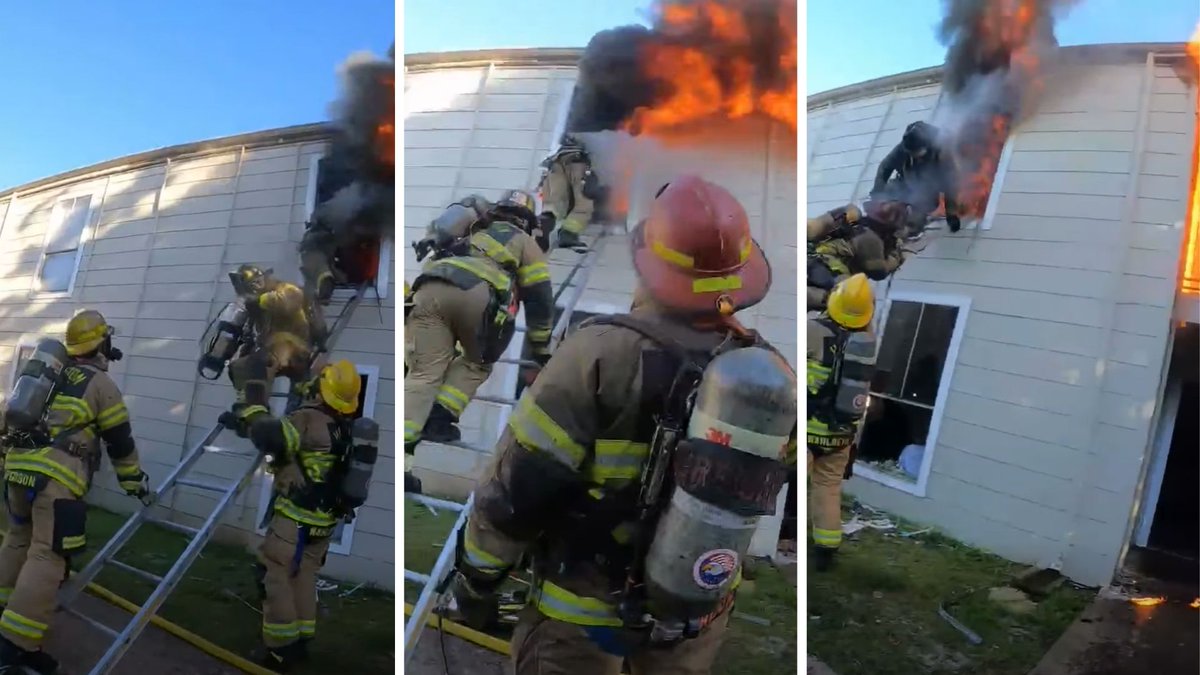 Bill Carey tweet media