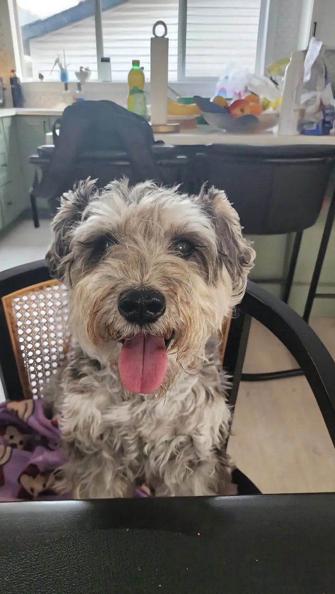 Nimra Shahzadi ❣️ tweet media