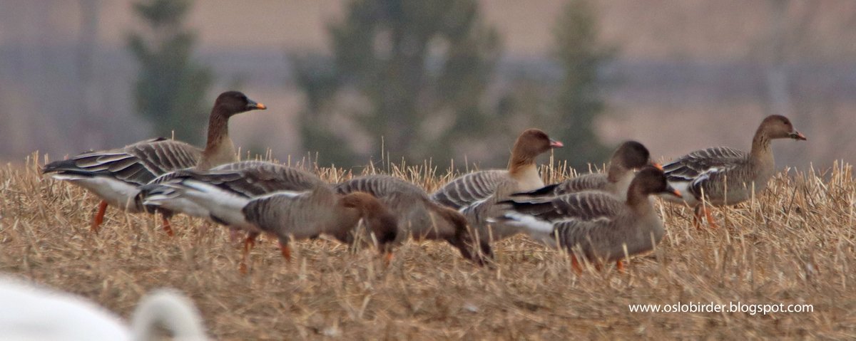 Simon Rix tweet media