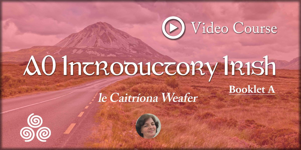 Let's Learn Irish! tweet media