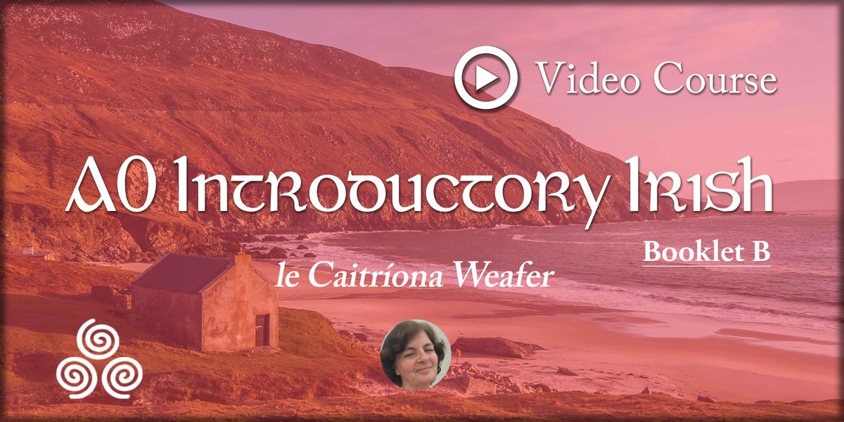 Let's Learn Irish! tweet media