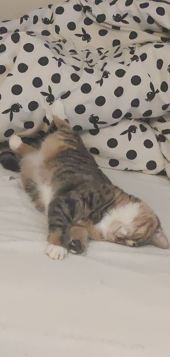 cocnut hater tweet media