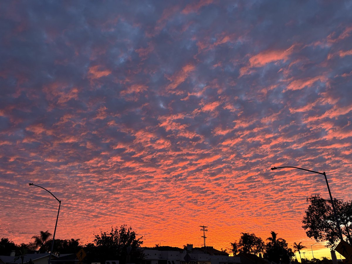 Mark Sanderson tweet media