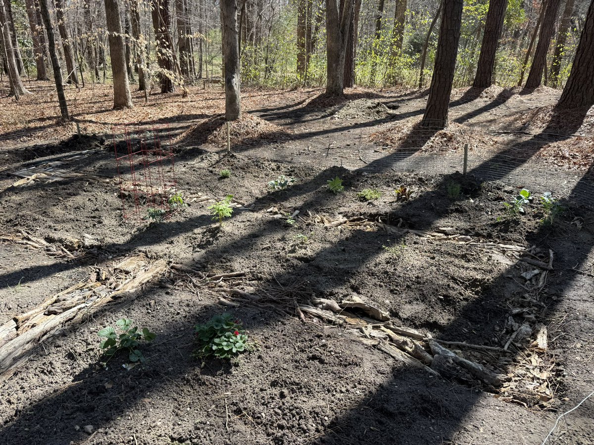 Justin Benjamin | Normal 🦄 tweet media