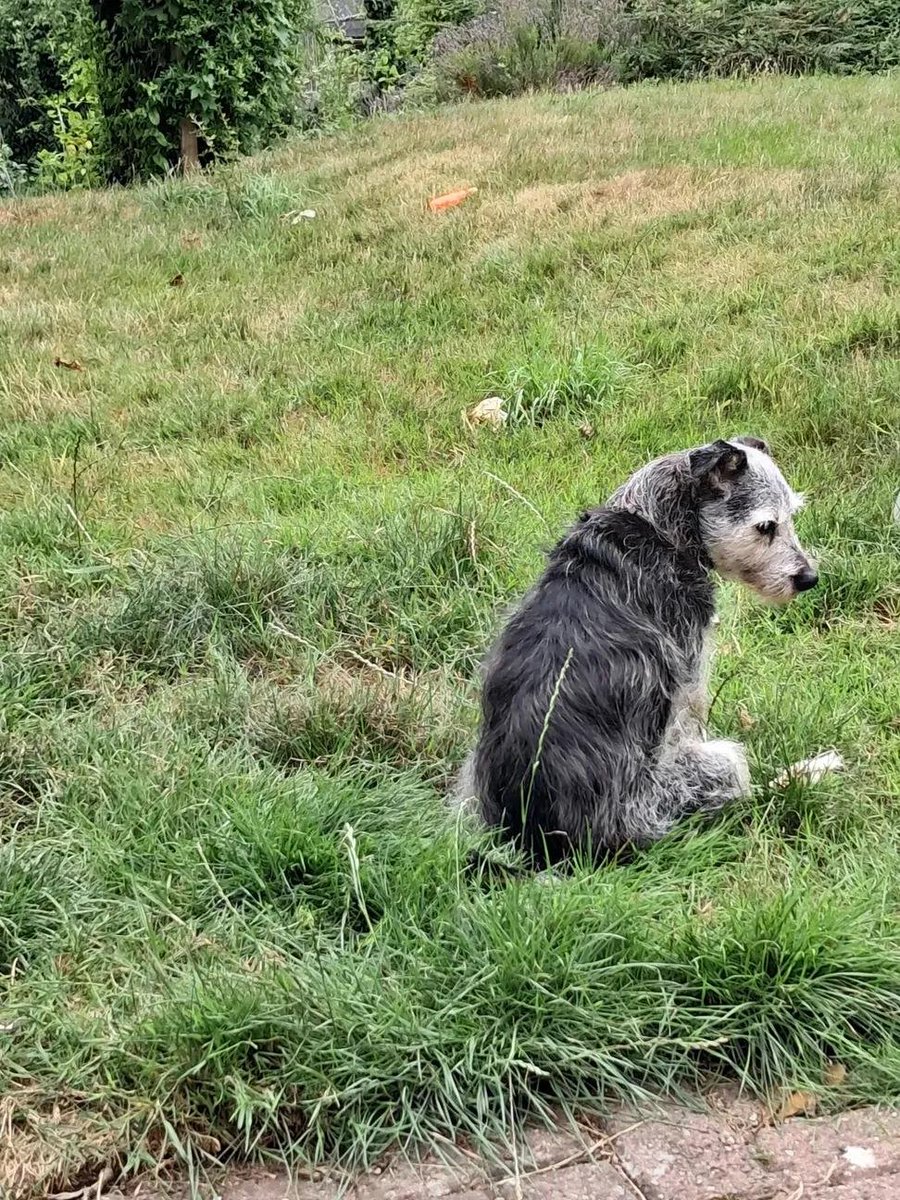 Nimra Shahzadi ❣️ tweet media