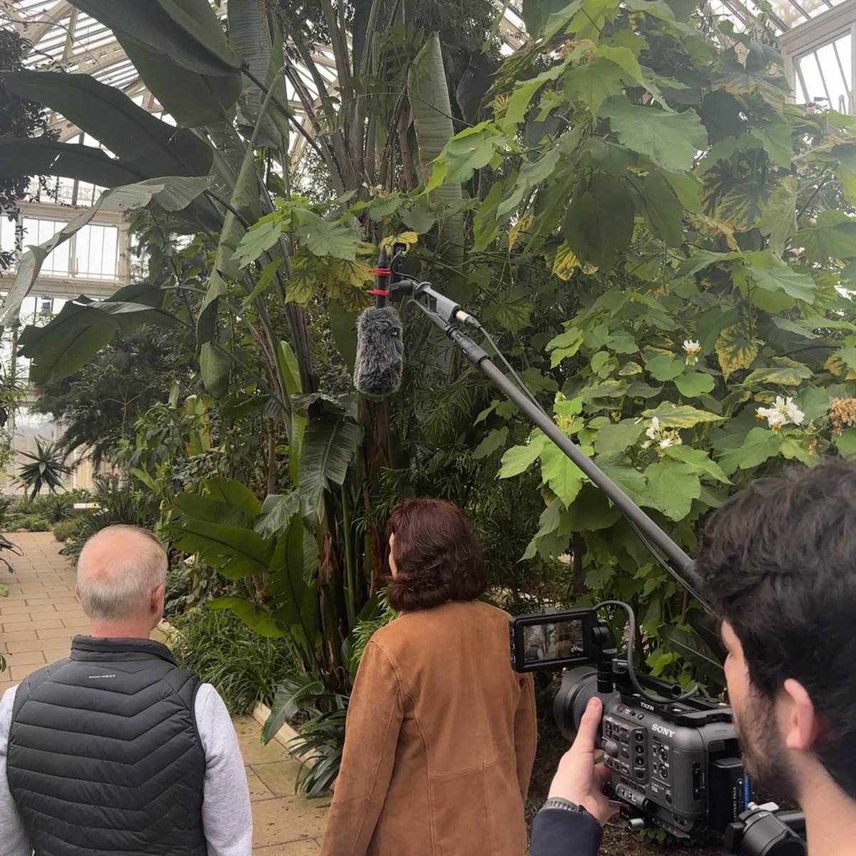 Citeline tweet media