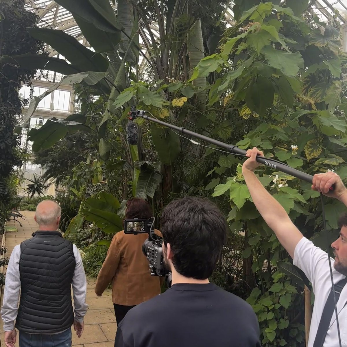 Citeline tweet media