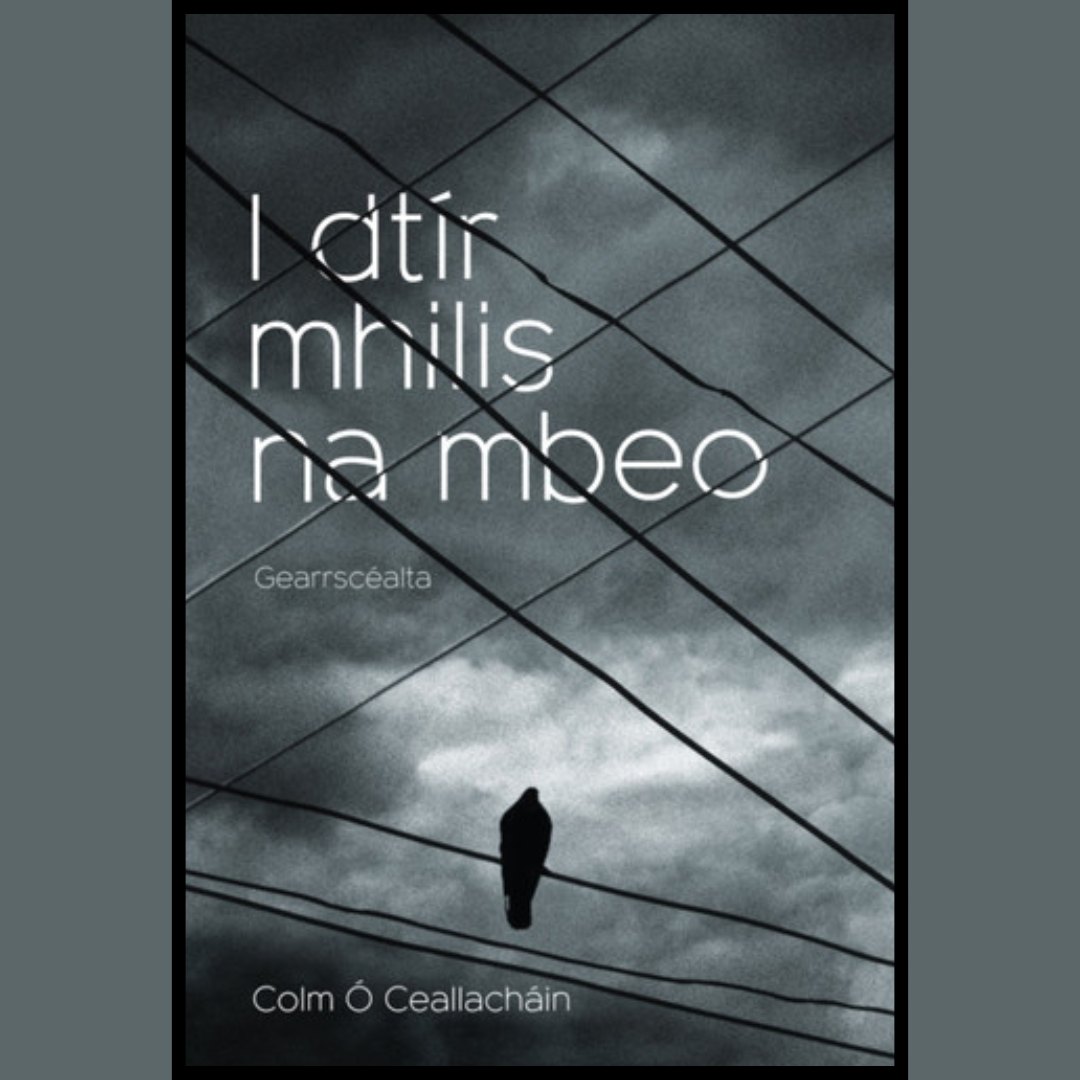 Let's Learn Irish! tweet media