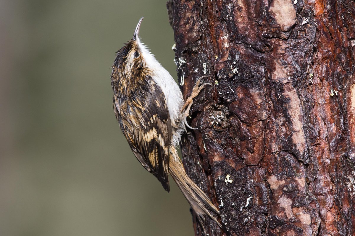 IanB 🇺🇦 tweet media