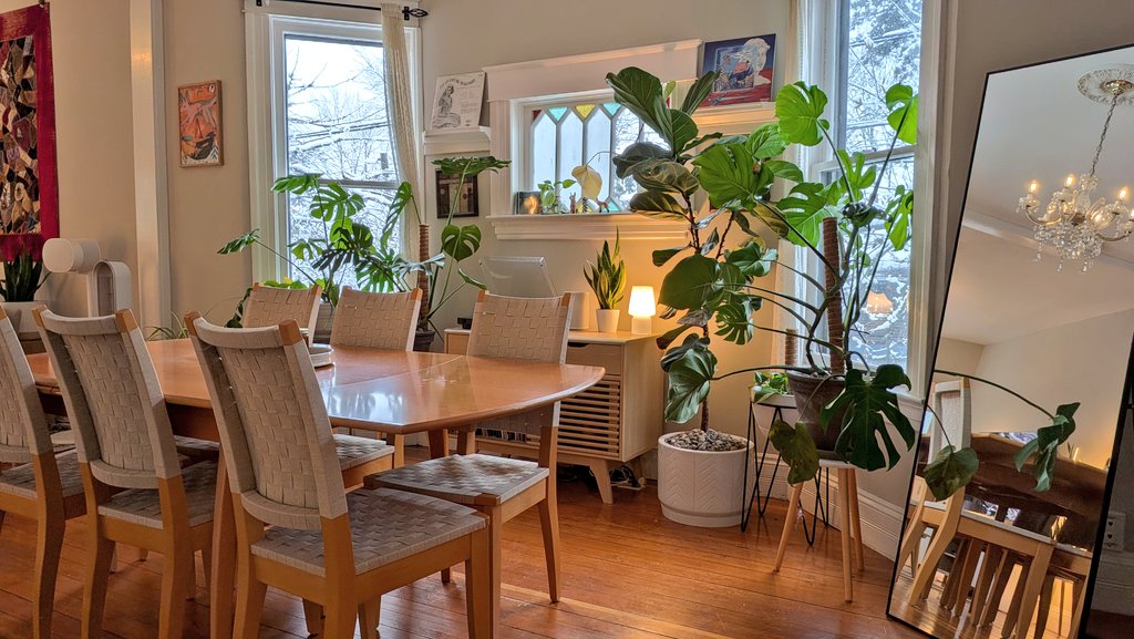 Karidas! tweet media