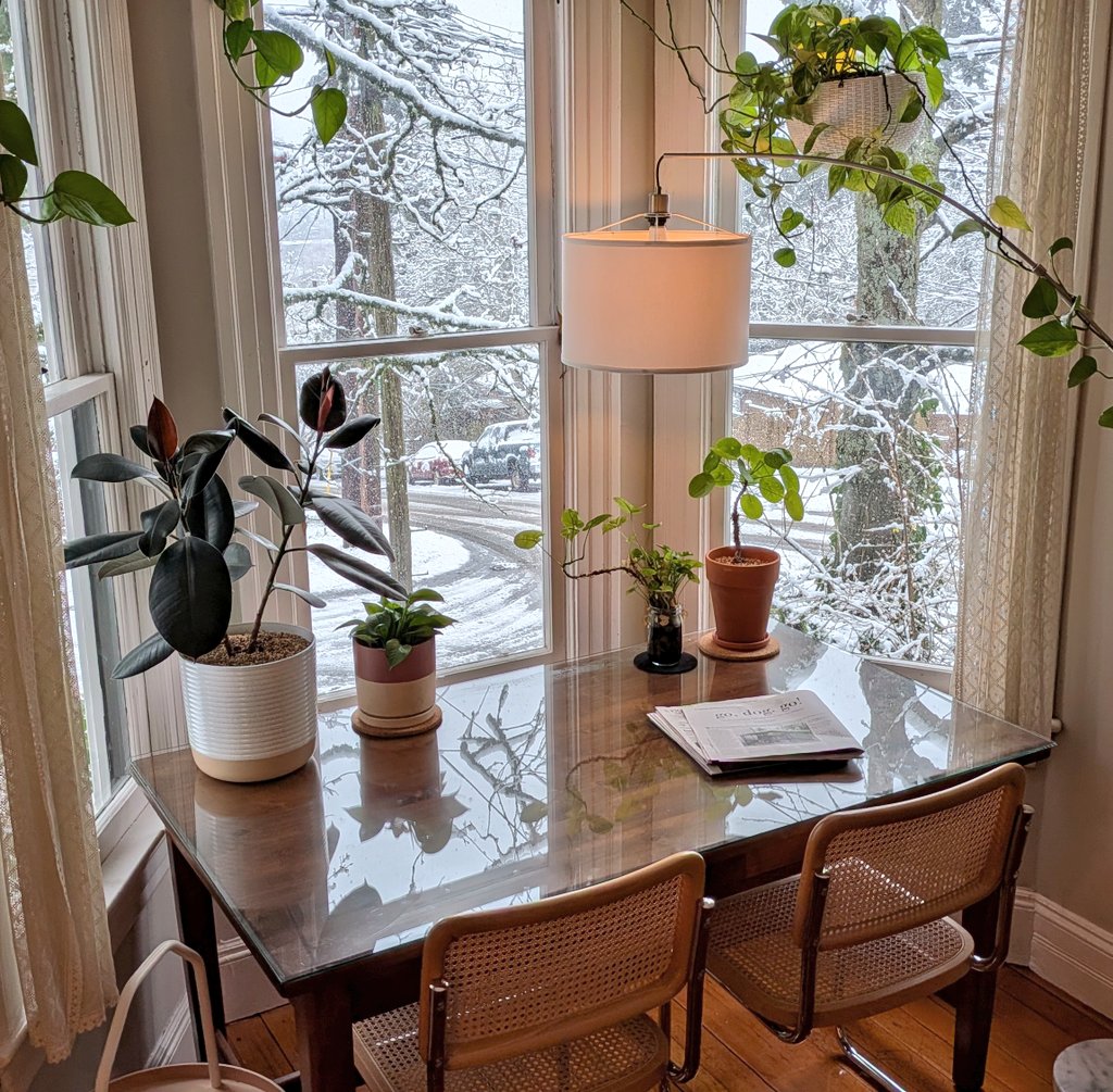 Karidas! tweet media