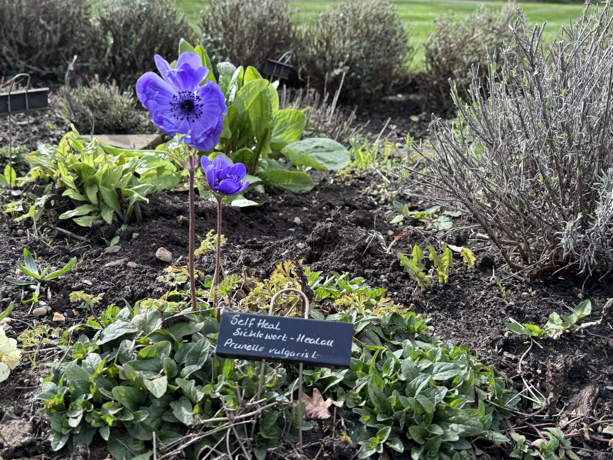 Judith Barnard tweet media