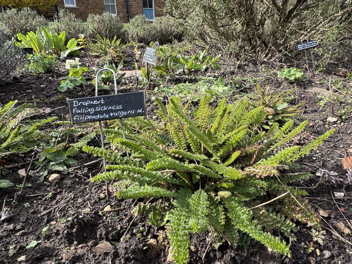 Judith Barnard tweet media