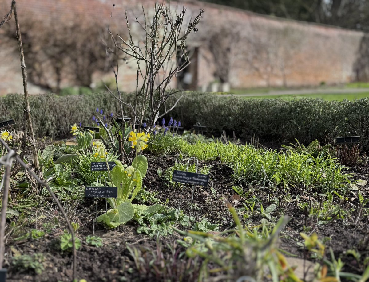 Judith Barnard tweet media