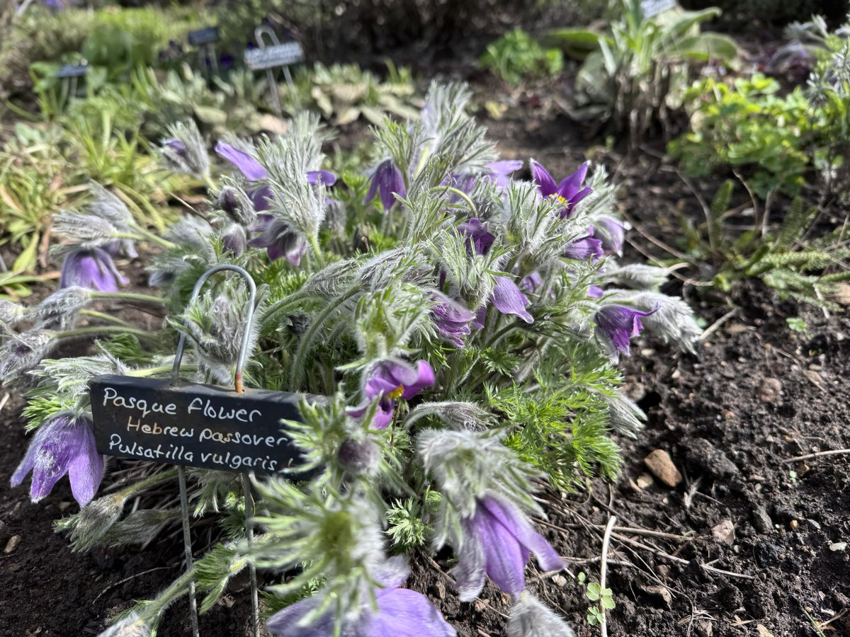 Judith Barnard tweet media