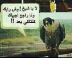 HUSSAIN JAFFAR tweet media