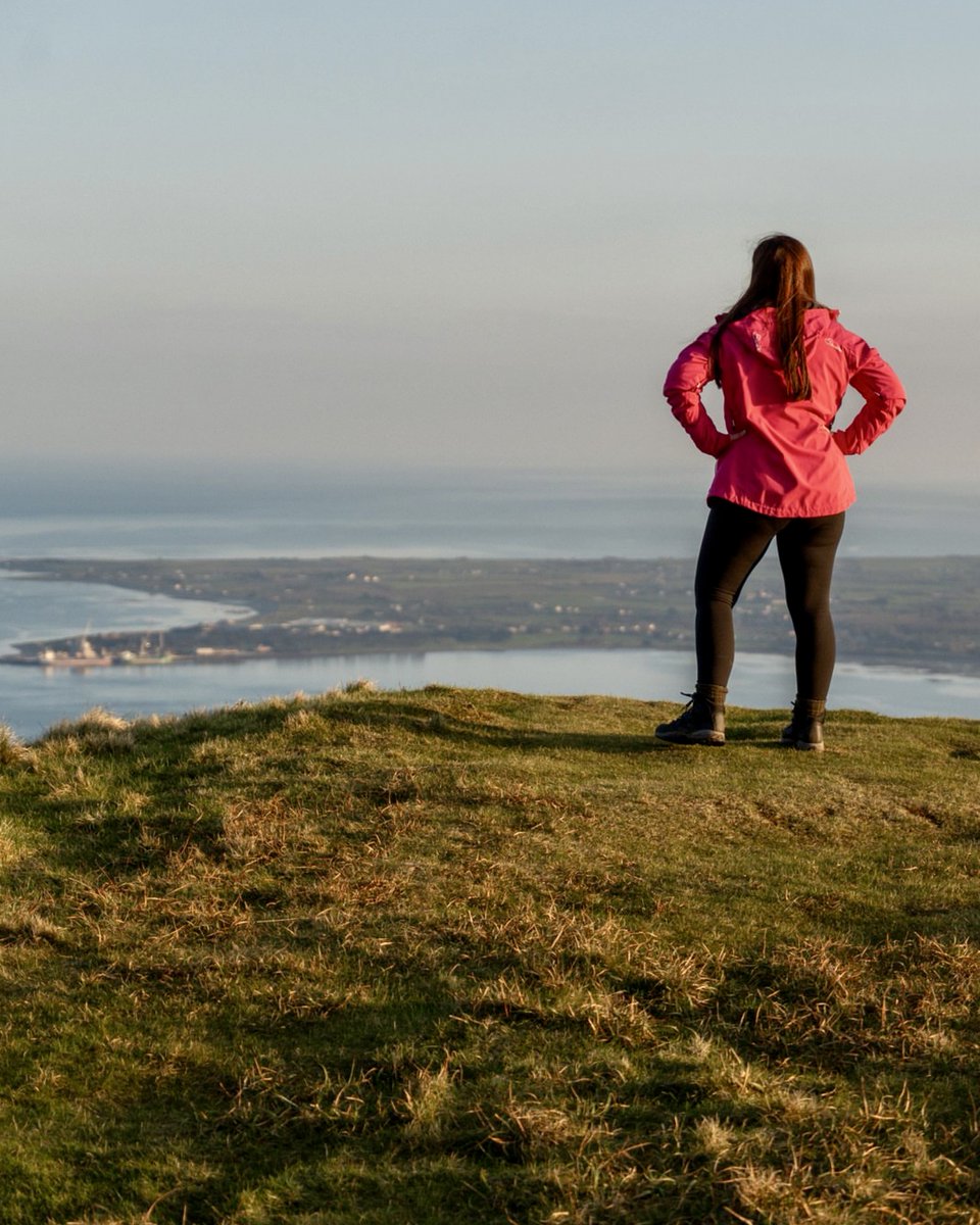 Catherine Fulvio tweet media