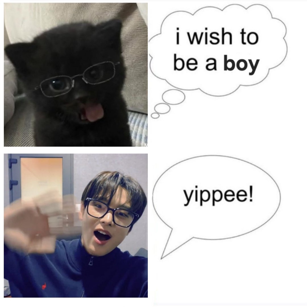 nemo ੈ♡˳ break. (@calikyucat) on Twitter photo 