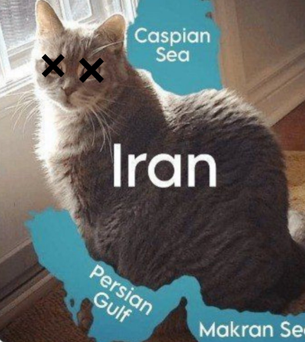 Esalat_MIS tweet media