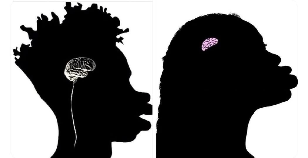 PABLO BULKOW tweet media