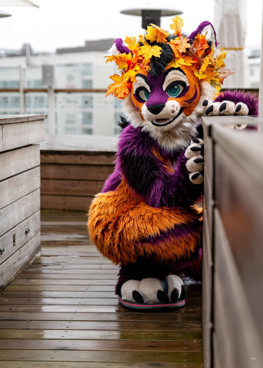 Werikane | Khalu𝑟𝑎 🍂 tweet media