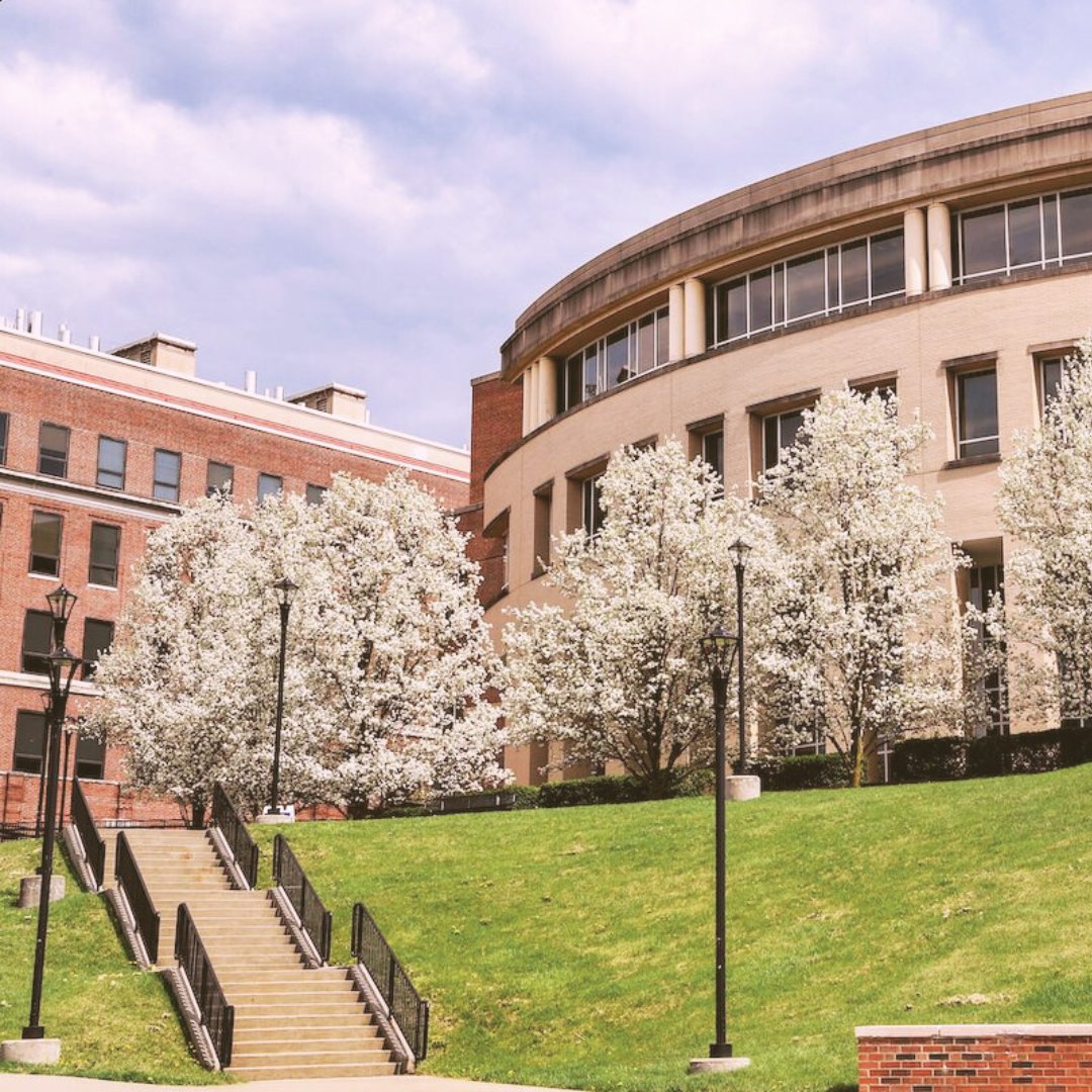 WVU Libraries tweet media