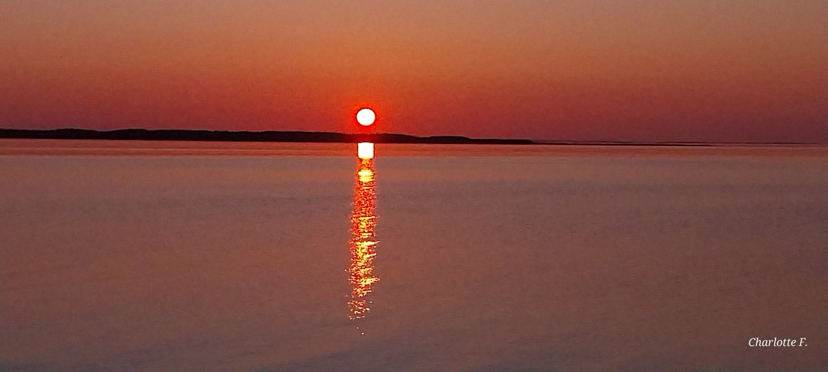 Charlotte tweet media