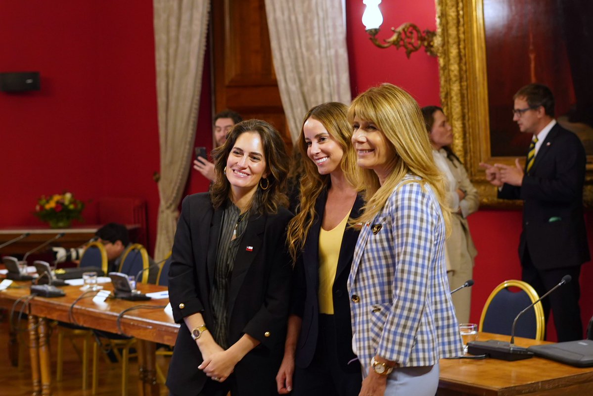 Ministerio de Desarrollo Social y Familia tweet media