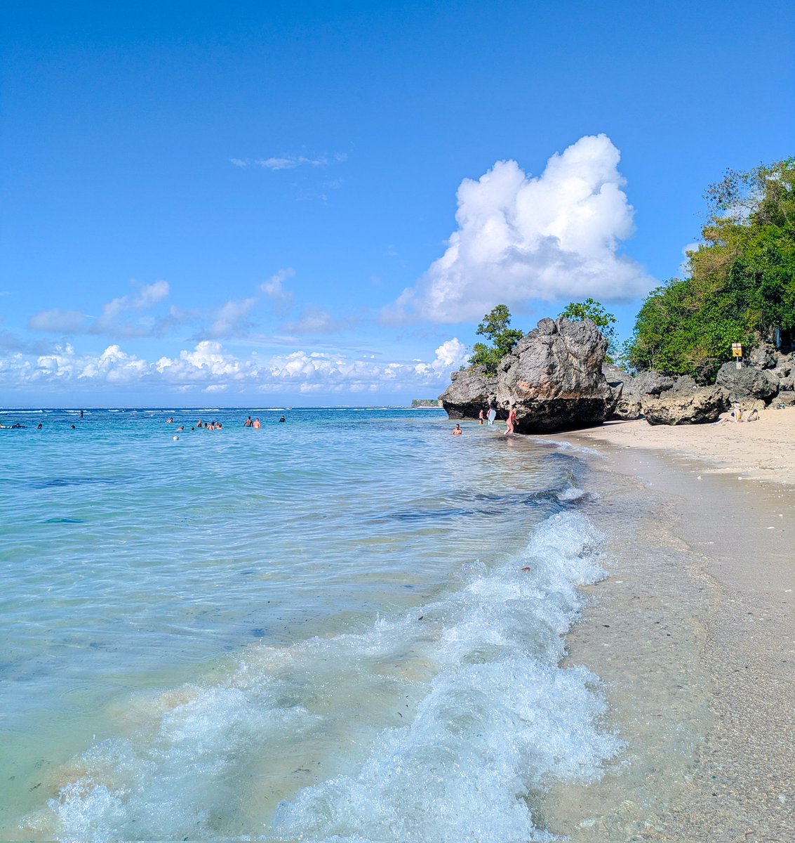 L's visual diary tweet media