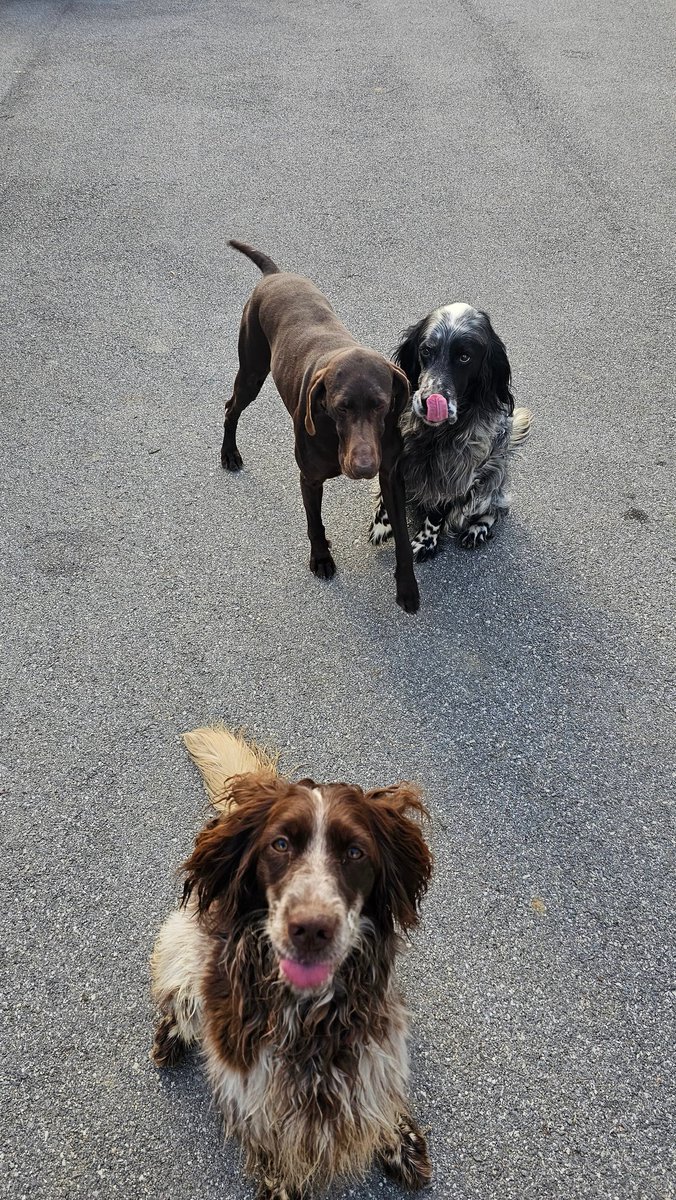 Matofski tweet media