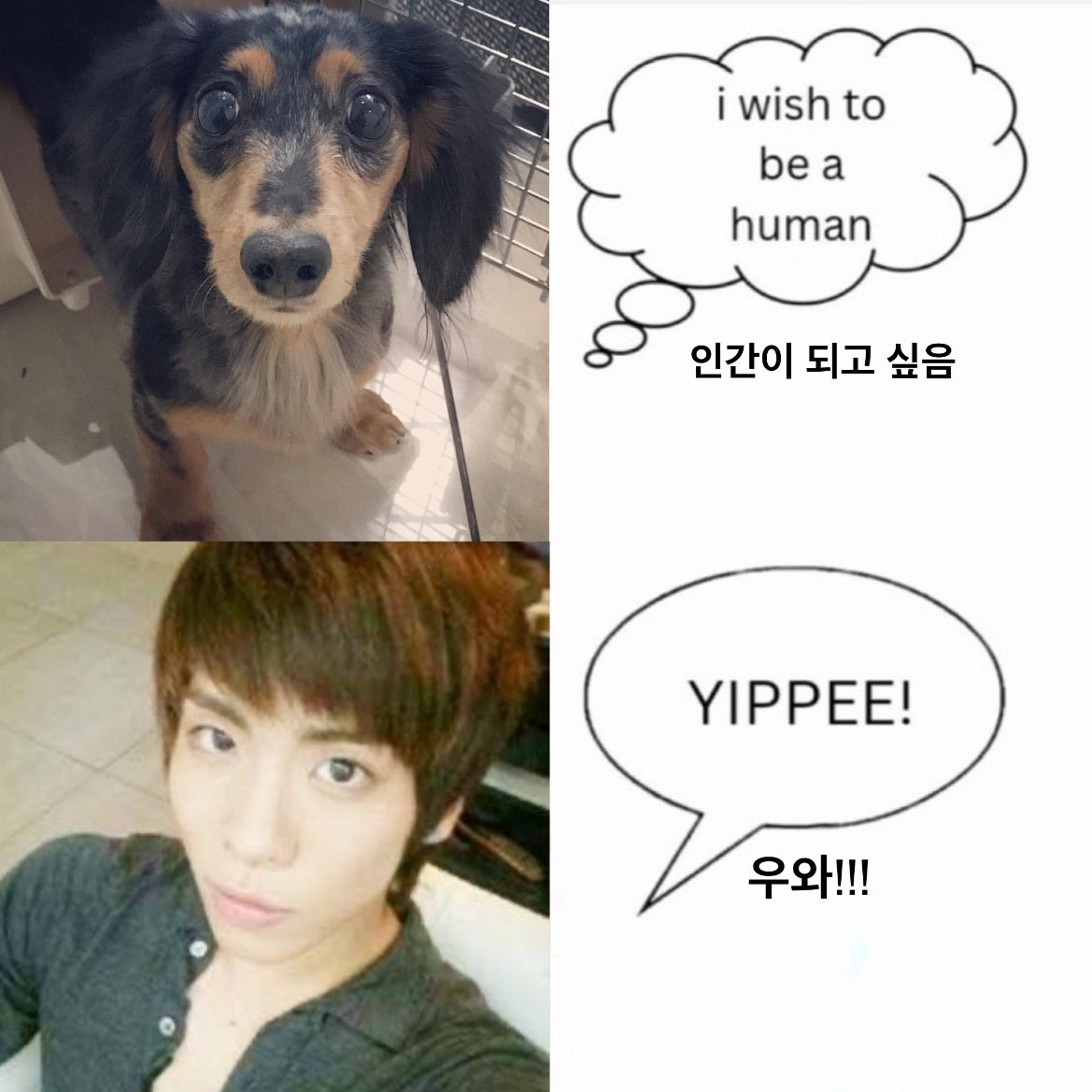 쫑카이브 🤍 tweet media