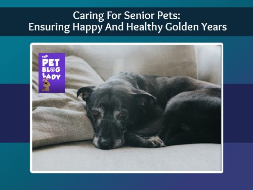 Lisa Taron tweet media