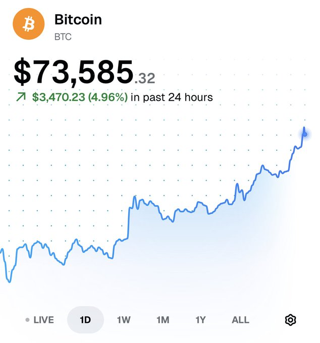 Bongo 🥁 tweet media