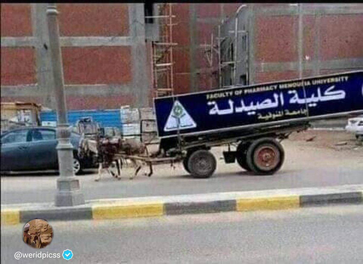 بو هند الخالدي tweet media