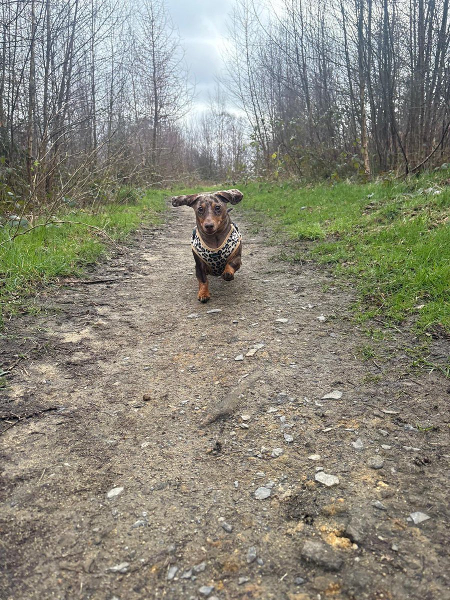 Josephine tweet media