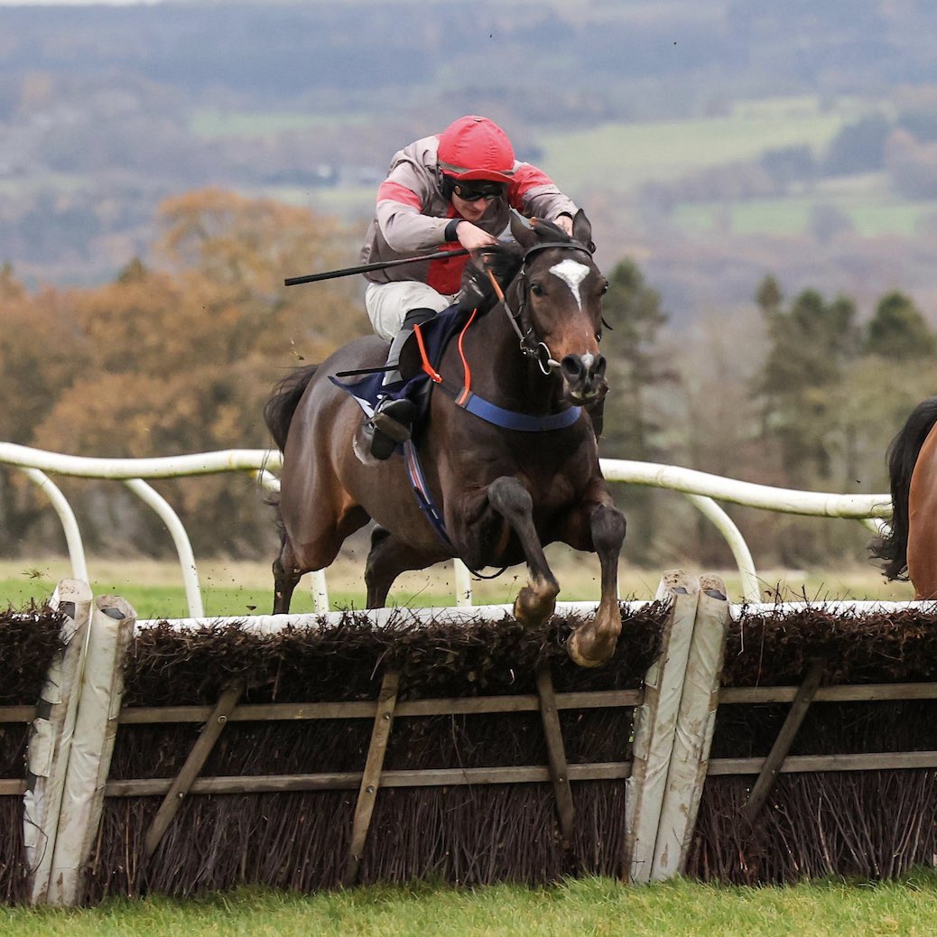 Hexham Racecourse tweet media